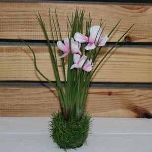 Cosmea auf Grassockel