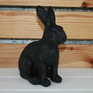 Hase schwarz