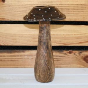 Pilz Mangoholz