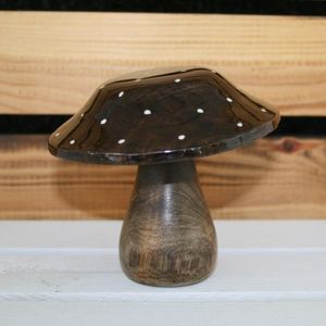 Pilz Mangoholz