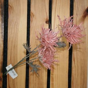 Distel rosa