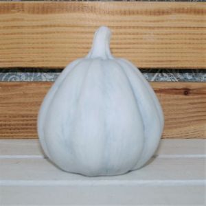 Kürbis weiss
