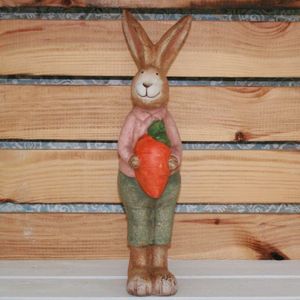 Hasen-Junge mit Karotte