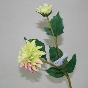 Dahlie gelb/pink