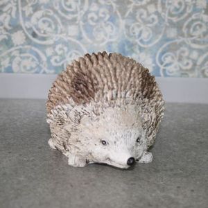 Igel 