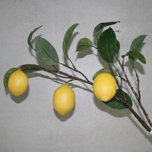 Zitronenzweig 3 Früchte