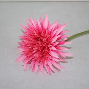 Gerbera pink