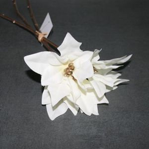 Poinsettienbund weiß